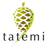 logo tatemi